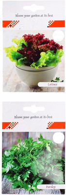 CYBEXIS 2-Varieties-Lettuce, Parsley Seed(10 g)