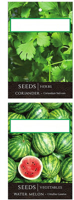 CYBEXIS 2-Varieties-Coriander, Watermelon Seed(10 g)