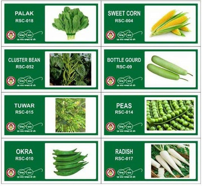 VibeX LXI-91-8-Varieties-Hybrid Vegetable Seeds Combo Seed(280 per packet)