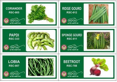 VibeX CBZ-45-6-Varieties-Vegetable Seeds Combo Pack Seed(210 per packet)