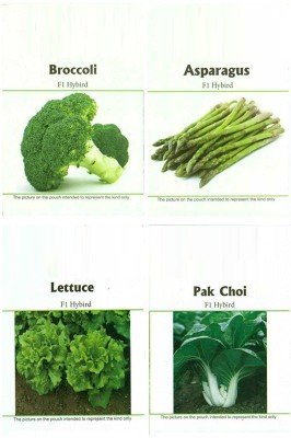 CYBEXIS Easy Gardening Asparagus, Broccoli, Lettuce, Pak Choi F1 Hybrid Seed Kit Seed(10 g)