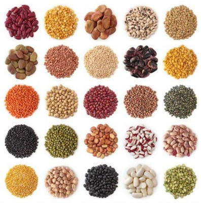 VibeX 51 Varieties Combo Fruits & Vegetables Seed Seed(1785 per packet)