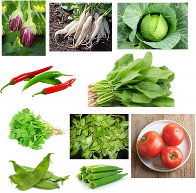 CYBEXIS Vegetable Seeds Combo (15 in 1) - Superb Quality Seed(10 g)