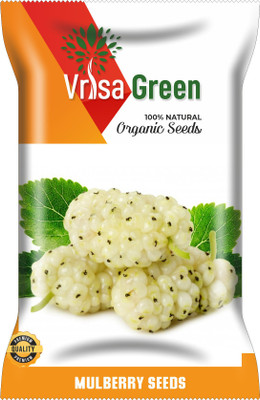 Vrisa Green MULBERRY Seed(100 per packet)