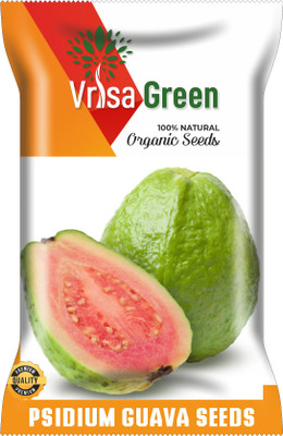 Vrisa Green GUAVA FRUIT Seed(100 per packet)