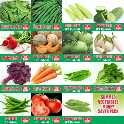 CYBEXIS Summer Vegetable Seeds Combo (15 n 1) - MONEY SAVER PACK Seed(10 g)
