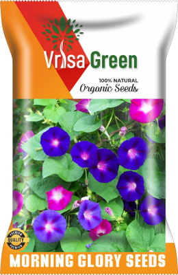 Vrisa Green MORNING GLORY MIXED Seed(50 per packet)