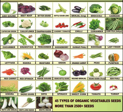 Greenery Hub 45 varieties mix Vegetables Seeds Seed(2500 per packet)