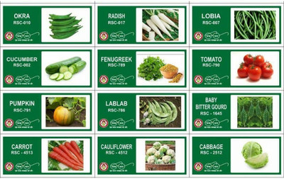 VibeX CBZ-17-11-Varieties-Vegetable Seeds Combo Pack Seed(385 per packet)