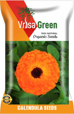Vrisa Green CALENDULA Seed(50 per packet)