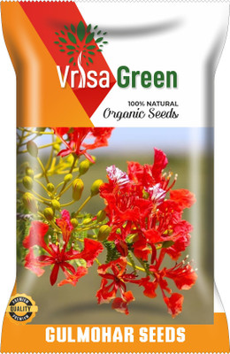 Vrisa Green GULMOHAR Seed(20 per packet)
