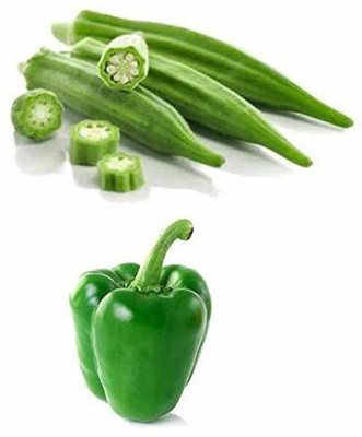 VibeX KGF-64-Combo of ladies finger and capsicum seeds / 30 seeds Seed(70 per packet)