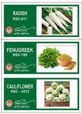 CYBEXIS 3-Varieties-Vegetable Seeds Combo Pack Seed(10 g)