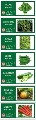 CYBEXIS 7-Varieties-Hybrid Vegetable Seeds Combo Seed(10 g)