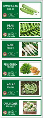 VibeX RDX-95-6-Varieties-Hybrid Vegetable Seeds Combo Seed(210 per packet)