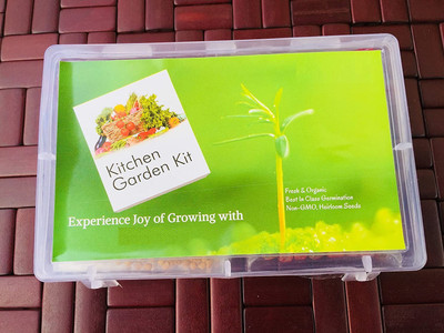 VibeX AFC-24-70-Varieties-Kitchen Garden Seed Kit Seed(2450 per packet)