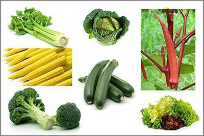 CYBEXIS CELERY,SQUASH,BABY CORN,RED BHINDI,LETTUCE,CABBAGE,BROCCOLI Seed(10 g)