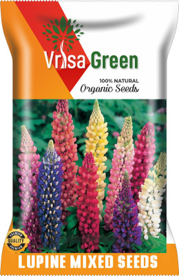 Vrisa Green LUPINE MIXED Seed(50 per packet)