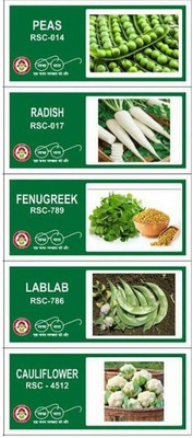 CYBEXIS 5-Varieties-F1 Hybrid Vegetable Seeds Combo Seed(10 g)