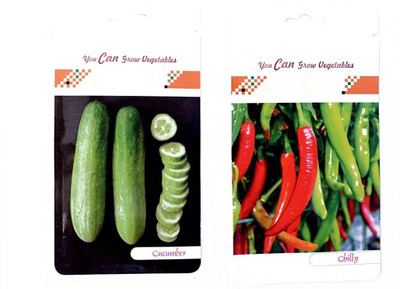 VibeX VXI-53-2-Varieties-Cucumber, Chilly Seed(70 per packet)