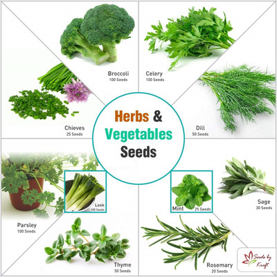CYBEXIS Easy to Grow Vegetable Seeds (10 Pieces) Seed(10 g)