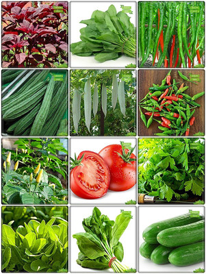 VibeX VXI-12-Garden Combo Vegetable Seeds Seed(420 per packet)