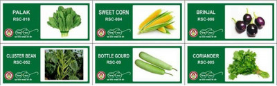 VibeX XII-6-6-Varieties-Top Selling Vegetable Seeds Combo Seed(210 per packet)