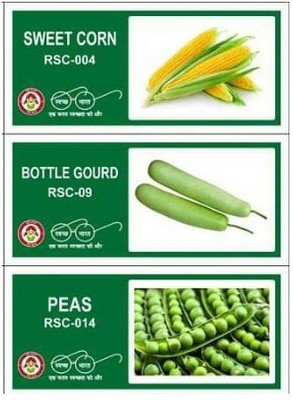 VibeX KGF-100-3-Varieties-F1 Hybrid Vegetable Seeds Combo Seed(105 per packet)