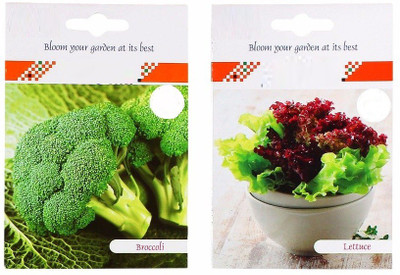 VibeX AFC-69-2-Varieties-Broccoli, Lettuce Seed(70 per packet)