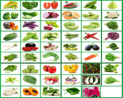 VibeX RDX-26-Organic Seeds 53 Varieties of Seeds with Instruction Manual -2500+ Seeds Seed(1855 per packet)