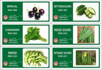 VibeX LXI-40-6-Varieties-F1 Hybrid Vegetable Seeds Combo Seed(210 per packet)
