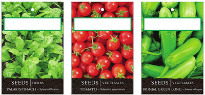 CYBEXIS 3-Varieties-Spinach, Tomato, Brinjal Green Long Seed(10 g)