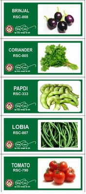 CYBEXIS 5-Varieties-Vegetable Seeds Combo Pack Seed(10 g)