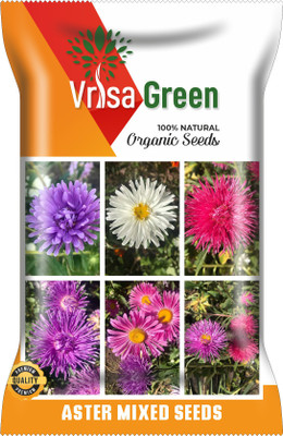 Vrisa Green ASTER MIXED Seed(100 per packet)