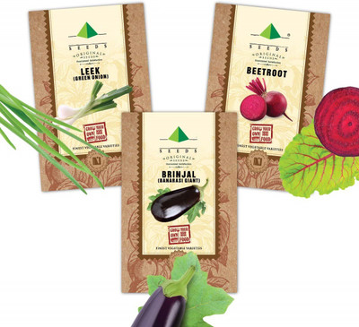CYBEXIS Vegetable Seeds Combo Of Beetroot, Green Onion (Leek), Brinjal Banarshi Giant Seed(10 g)