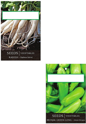 VibeX VXI-91-2-Varieties-Radish, Brinjal Green Long Seed(70 per packet)