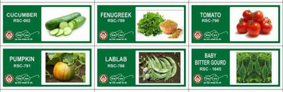 CYBEXIS 6-Varieties-F1 Hybrid Vegetable Seeds Combo Seed(10 g)