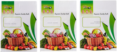 CYBEXIS 3-Varieties-Thyme, Sage, Rosemarry Seed(10 g)