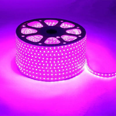 Ample 1200 LEDs 10.01 m Pink Steady Strip Rice Lights(Pack of 1)