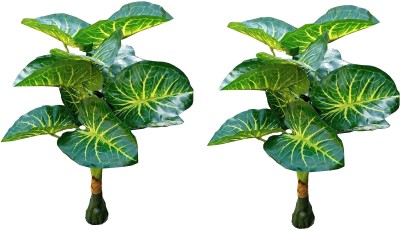 Hyperboles 2 Big Indoor Artificial Plant Money Plant Tree For Home Decor - 3 feet Artificial Plant(90 cm, Green)