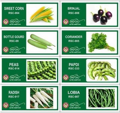 CYBEXIS 8-Varieties-Vegetable Seeds Combo Pack Seed(10 g)