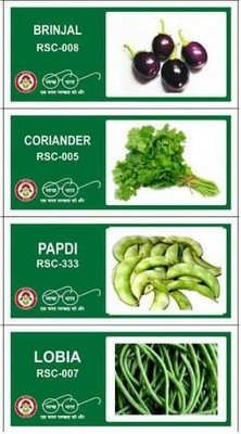 VibeX 4-Varieties-Top Selling Vegetable Seeds Combo Seed(140 per packet)