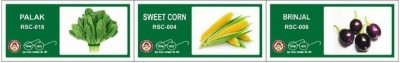 VibeX 3-Varieties-Hybrid Vegetable Seeds Combo Seed(105 per packet)