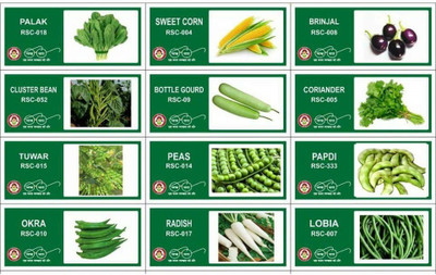 CYBEXIS 12-Varieties-Hybrid Vegetable Seeds Combo Seed(10 g)