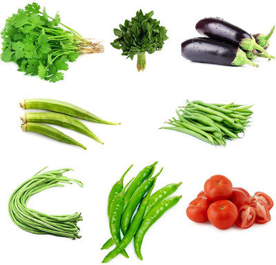 VibeX 8-Varieties-Hybrid Vegetable Seeds Combo Seed(280 per packet)