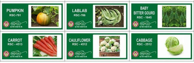VibeX 6-Varieties-Hybrid Vegetable Seeds Combo Seed(210 per packet)