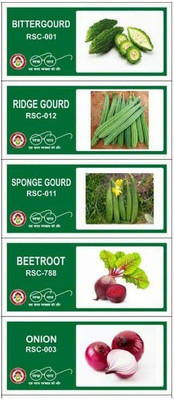 VibeX 5-Varieties-Top Selling Vegetable Seeds Combo Seed(175 per packet)