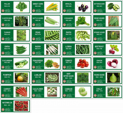 VibeX 35-Varieties-Vegetable Seeds Combo Pack Seed(1225 per packet)
