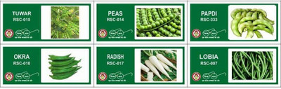 VibeX 6-Varieties-Top Selling Vegetable Seeds Combo Seed(210 per packet)