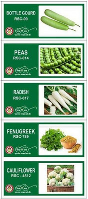 CYBEXIS 5-Varieties-Top Selling Vegetable Seeds Combo Seed(10 g)